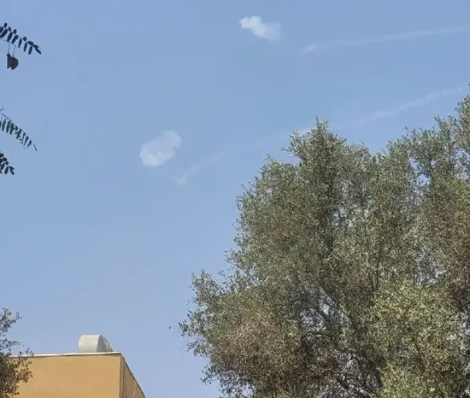 غزة 