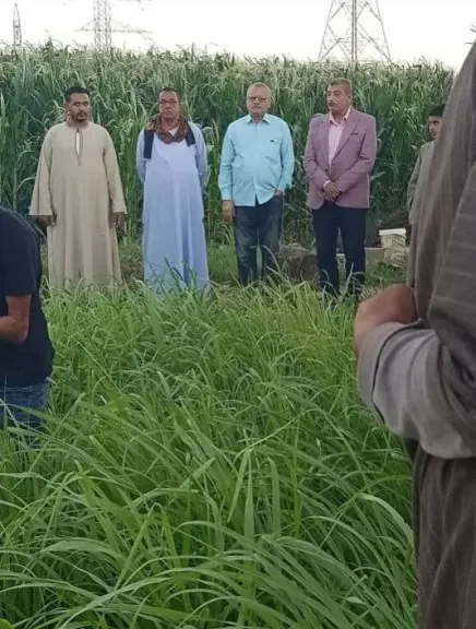 جانب من متابعه 