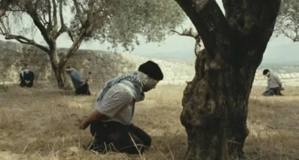 من نابلس إلي غزة.. أفلام تحكي وجع الأرض