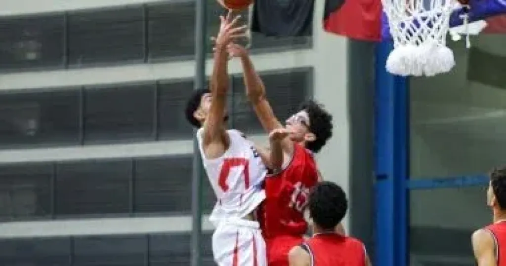 منتخب السلة