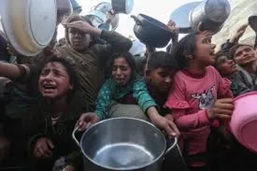 غزة 