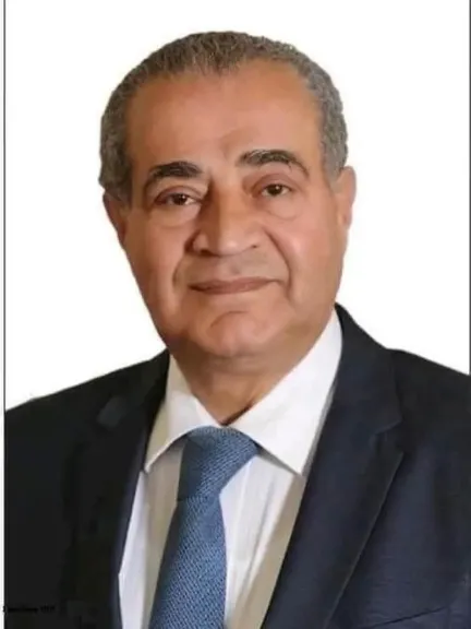الدكتور على مصيلحى