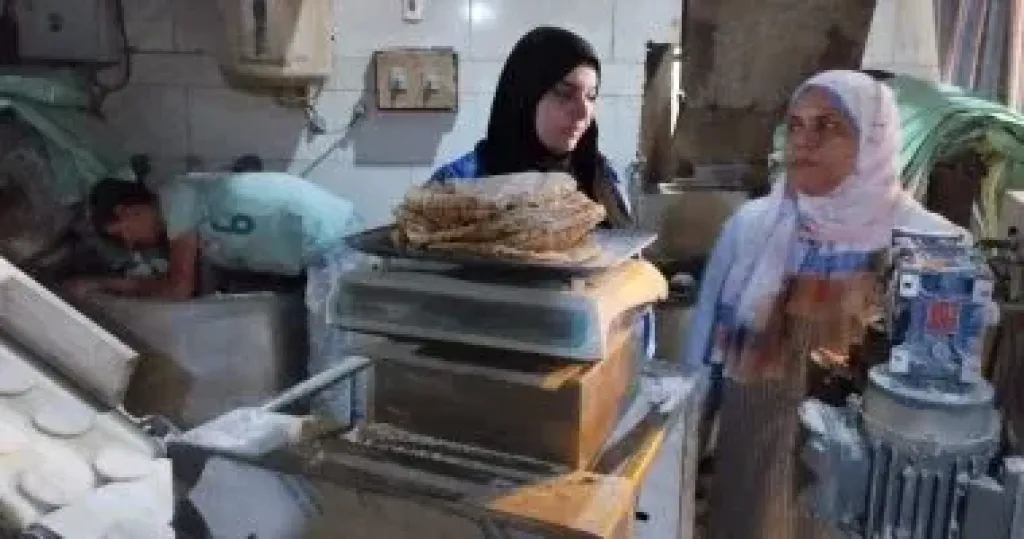 جانب من الحملات 