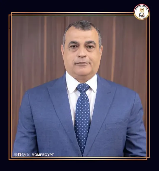 المهندس محمد صلاح الدين مصطفى 