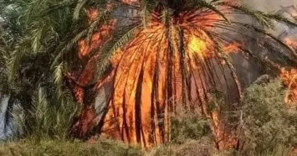 حريق 
