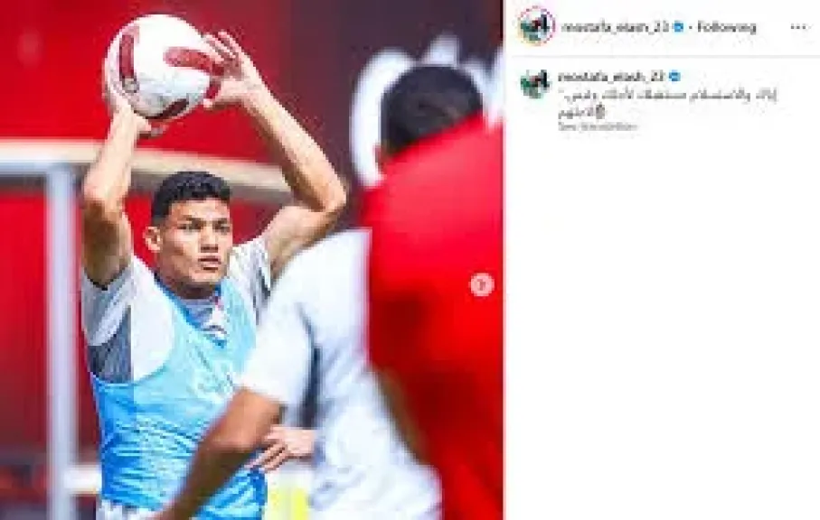 مصطفي العش 