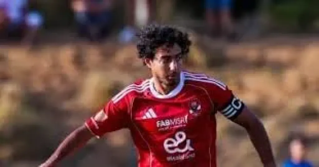 أحمد هاني