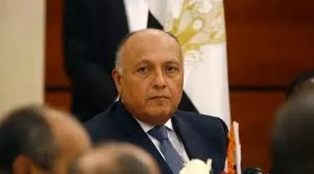 وزير الخارجية الدكتور بدر عبد العاطي