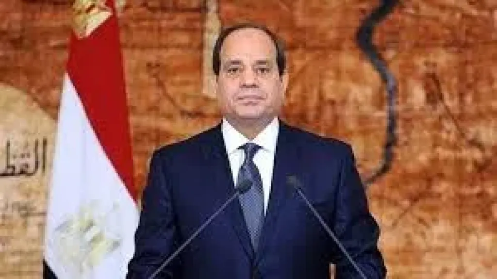 السيد الرئيس عبد الفتاح السيسى