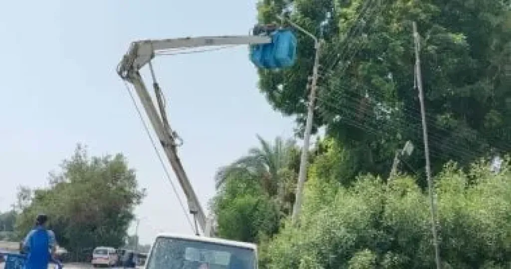 جانب من الأعمال 