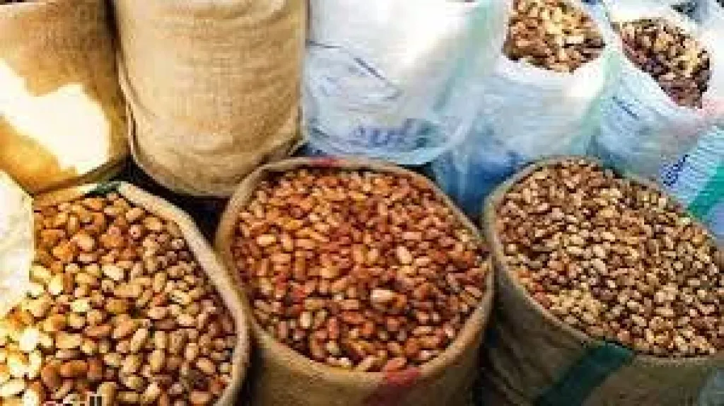 أسعار البلح