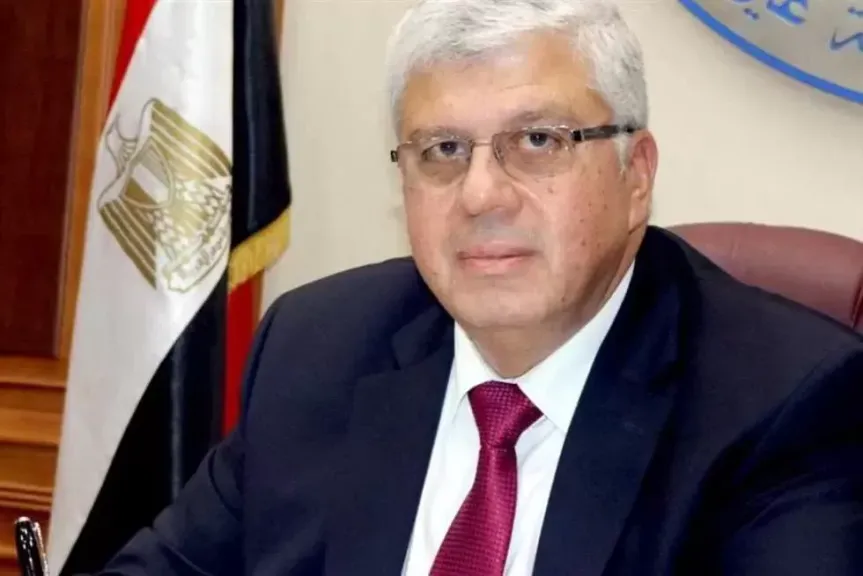 الدكتور أيمن عاشور وزير التعليم العالى