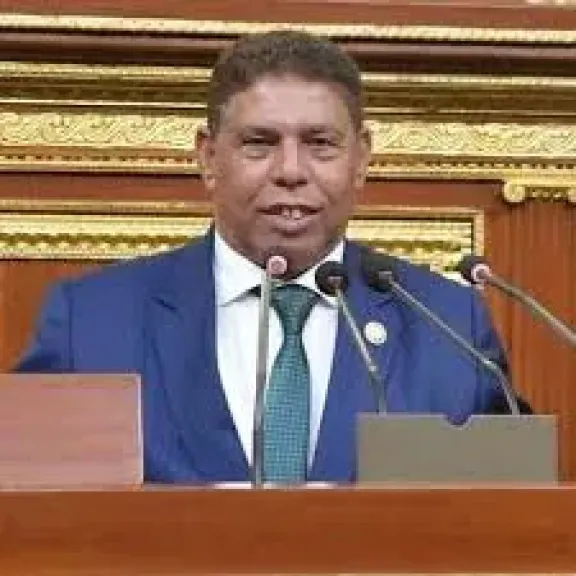 النائب سيد عوض امين سر لجنة النقل والمواصلات بمجلس النواب