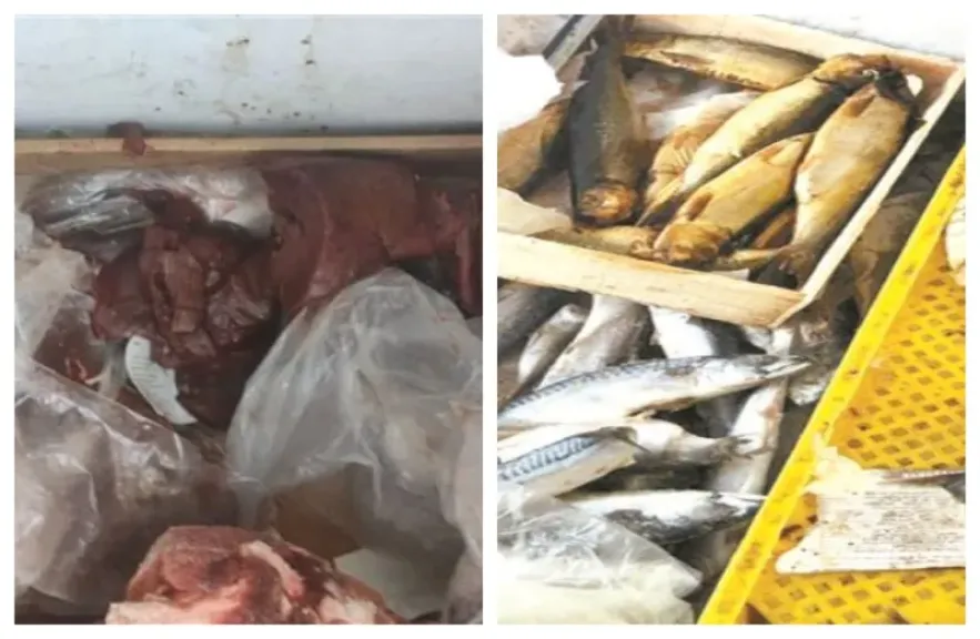 ضبط طن و300 كيلو لحوم مخالفة وأسماك منتهية الصلاحية