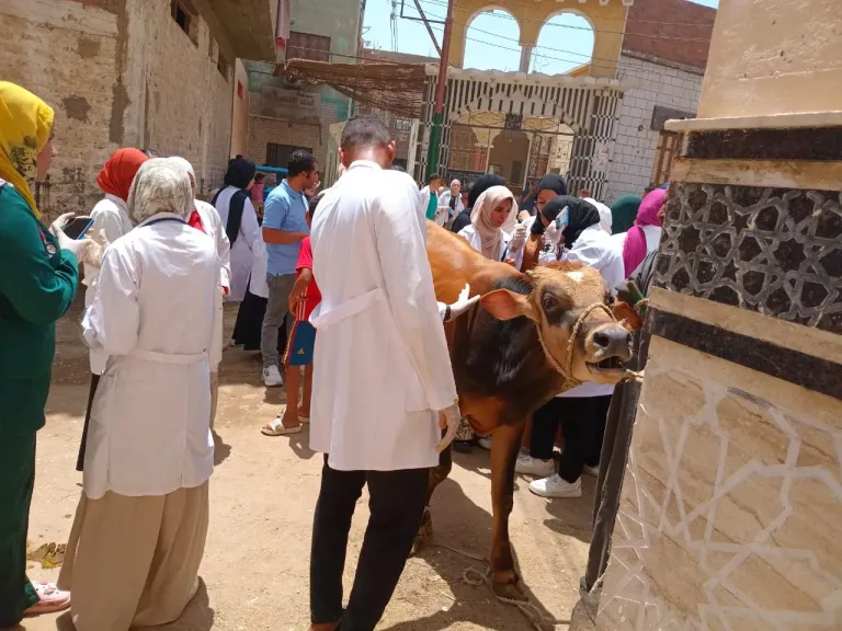 قافلة بيطرية