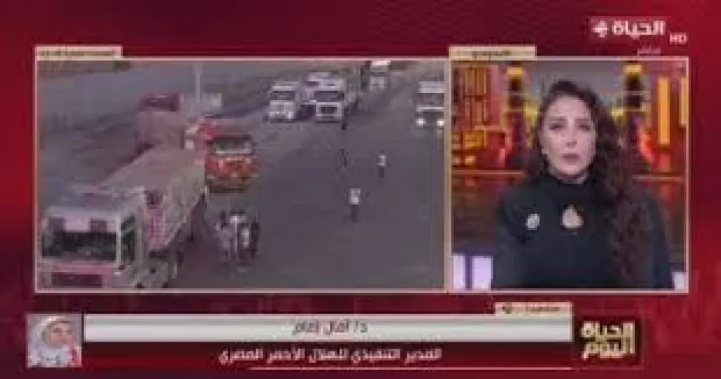 المداخلة الهاتفية