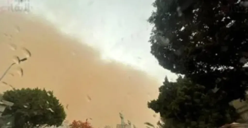 عاصفة