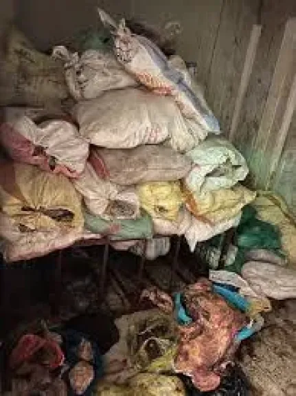 أحشاء غير صالحه