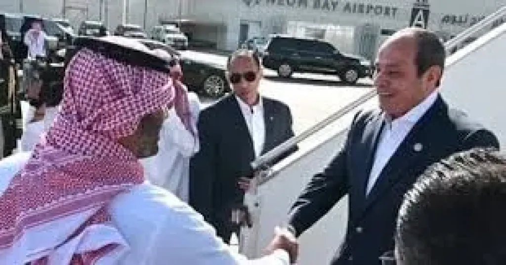 جانب من اللقاء 
