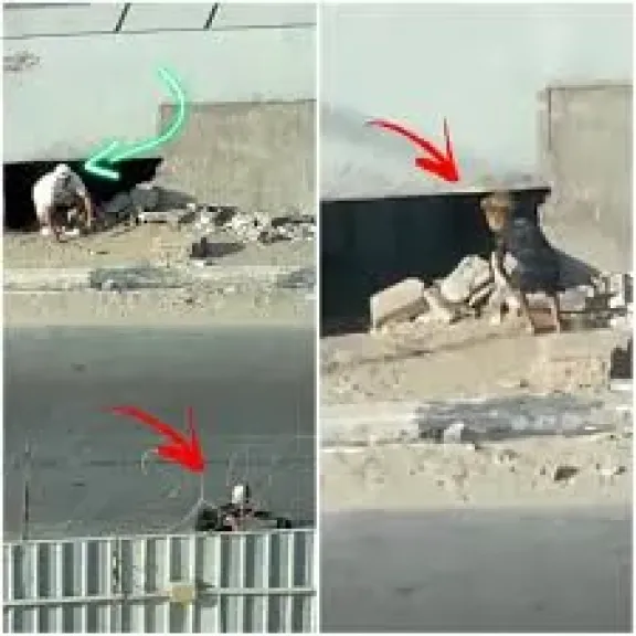 الثقب الاسود 