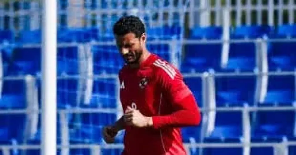 محمد الشناوي 