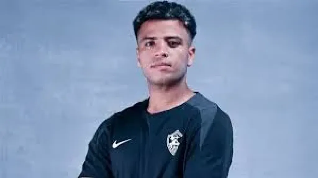 احمد ربيع