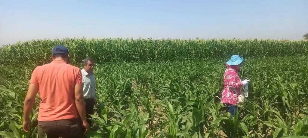 جانب من متابعه 