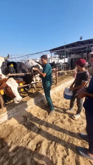 فعاليات الحملة القومية للتحصين 