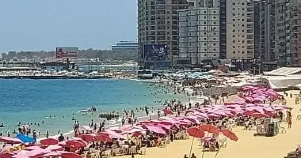 الإسكندرية 