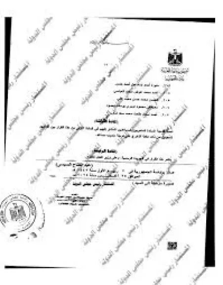 مجلس الدولة