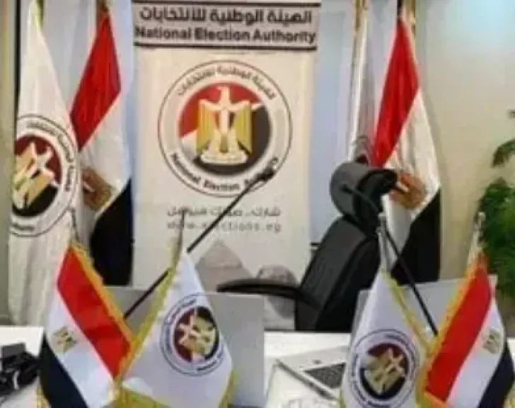 الهيئة الوطنية للانتخابات 