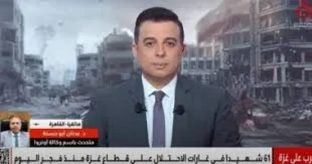 عدنان ابو حسنه