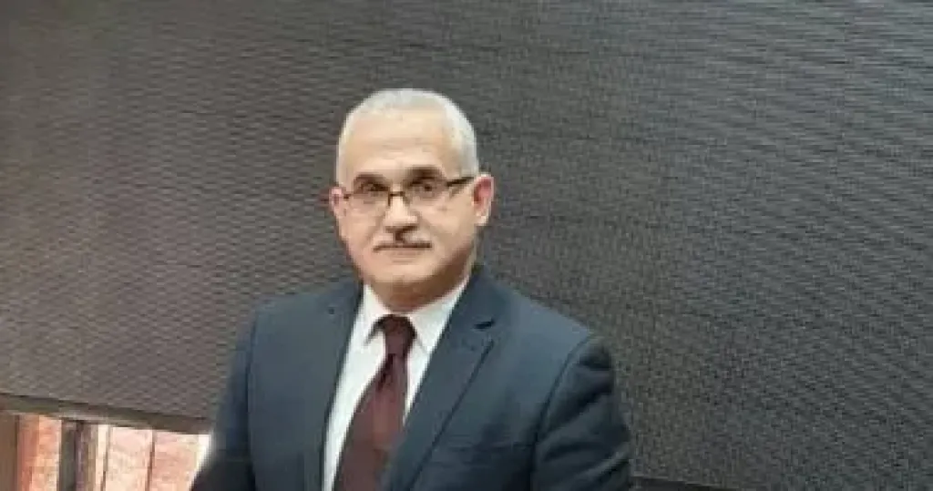 هشام عنانى  