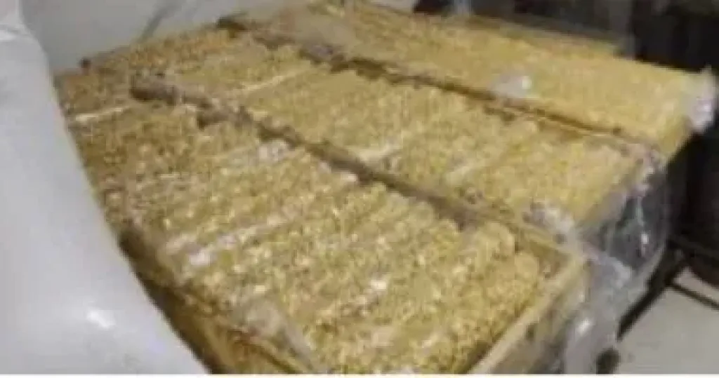 المضبوطات 