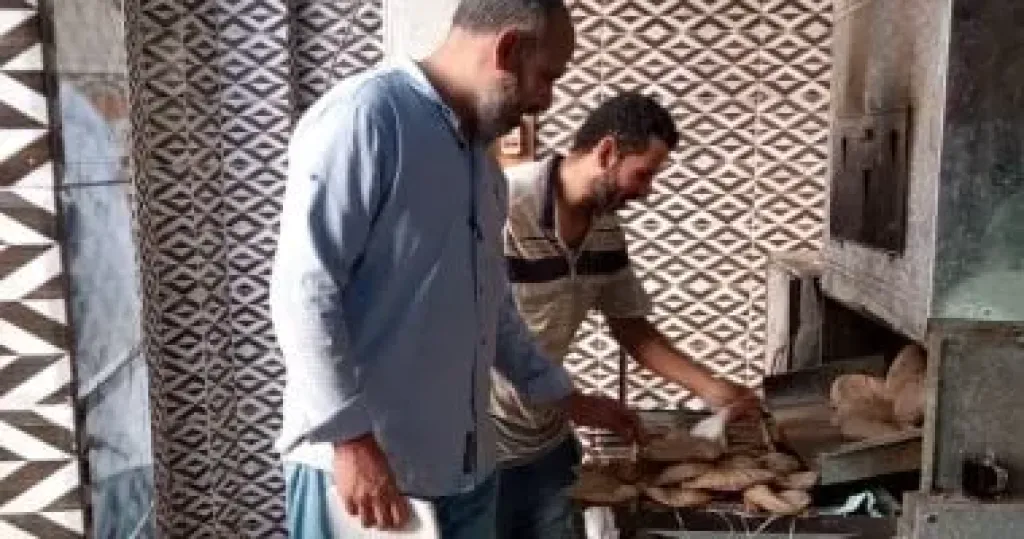 جانب من الحملات 