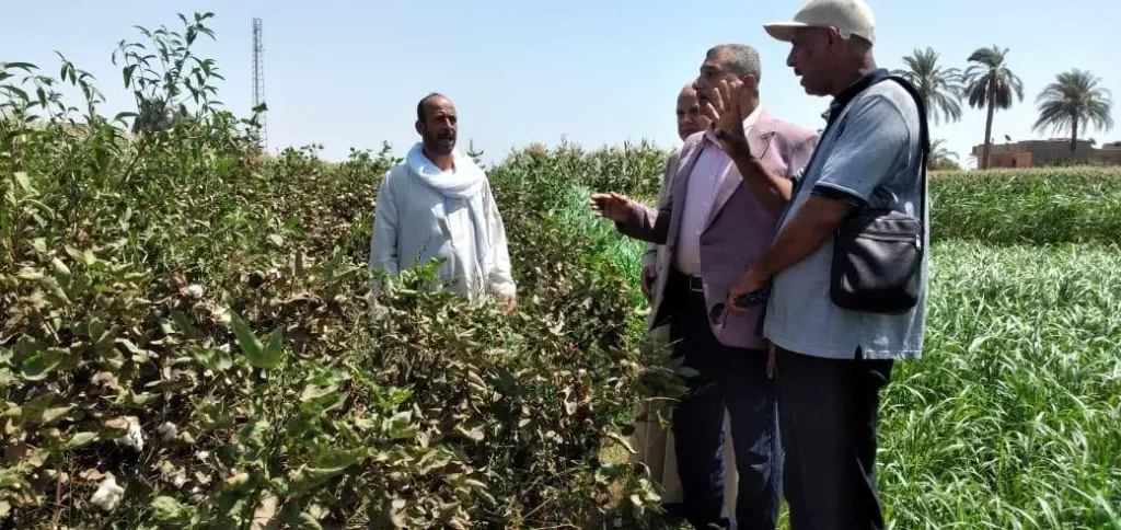 جانب من متابعه 