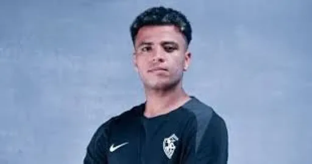 أحمد ربيع
