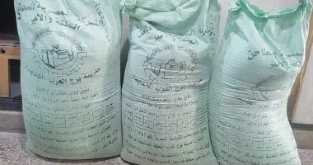 دقيق 