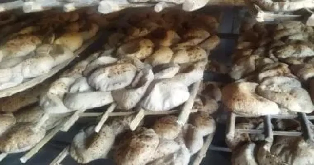 خبز 