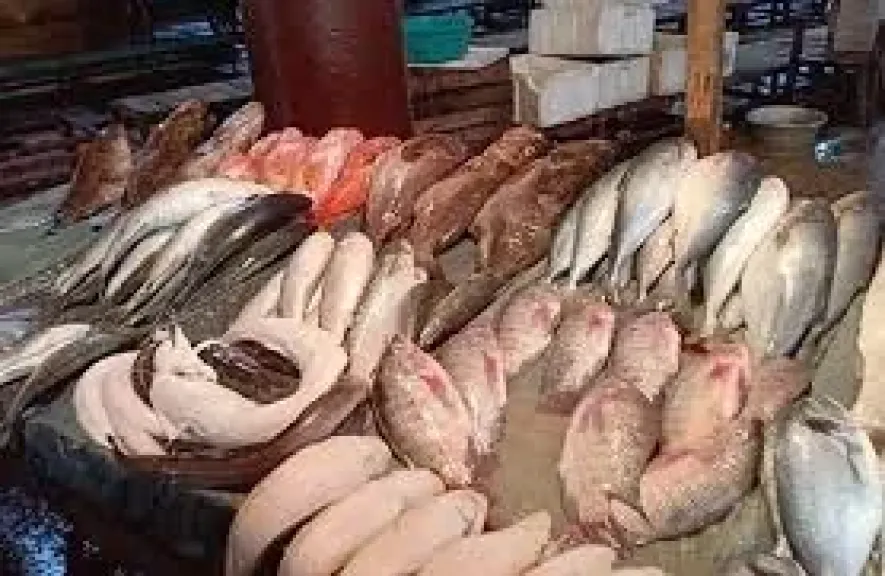 سعر السمك