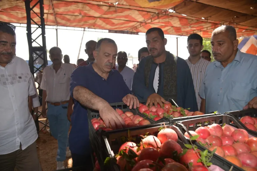 محافظ أسيوط 