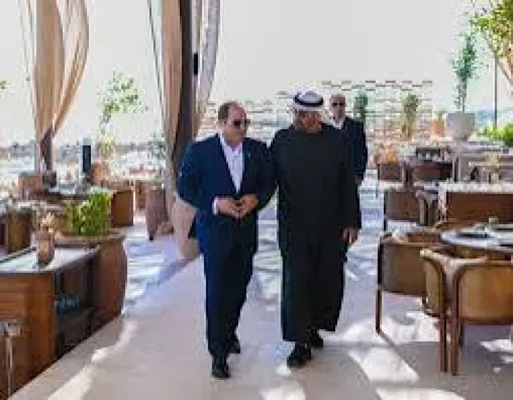 الرئيس عبد الفتاح السيسي
