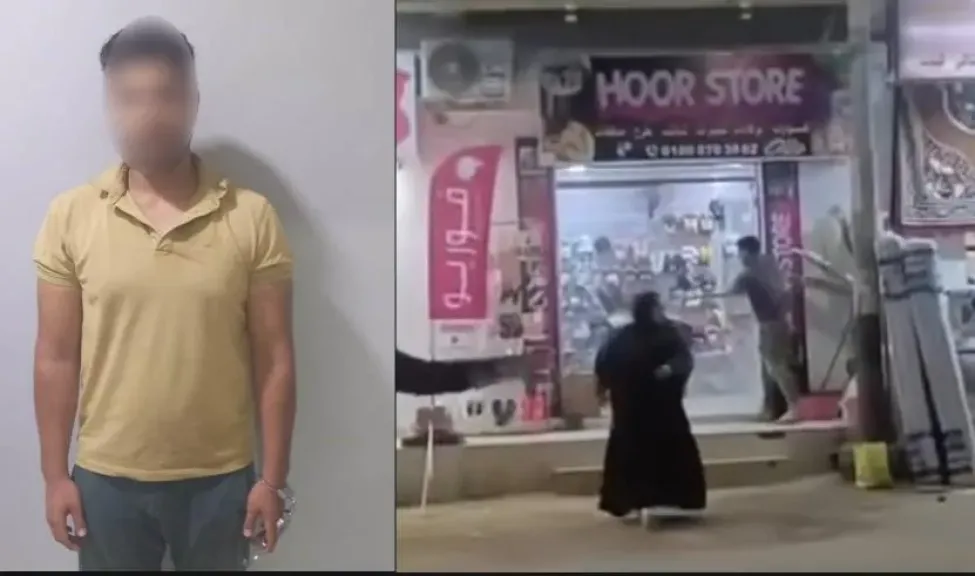 الواقعة والمتهم