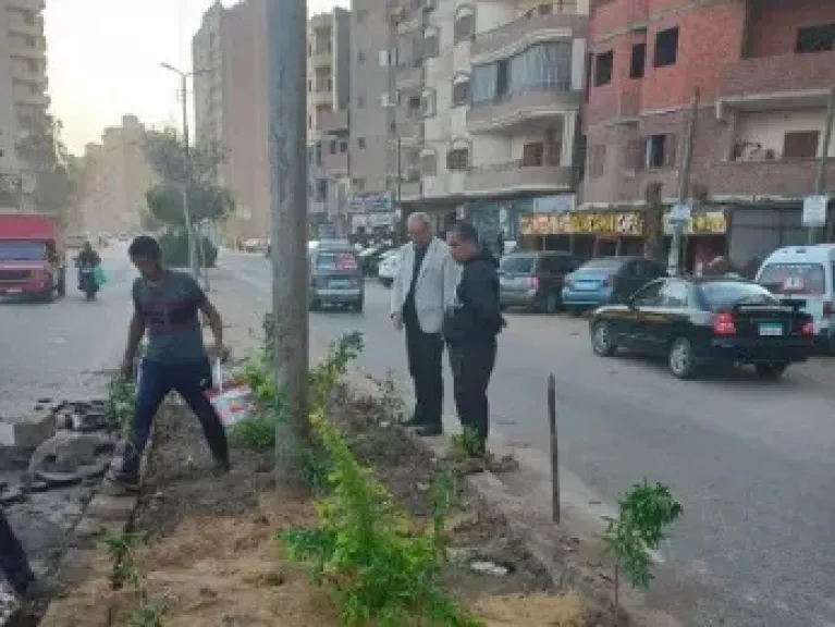 تشجير الشوارع 
