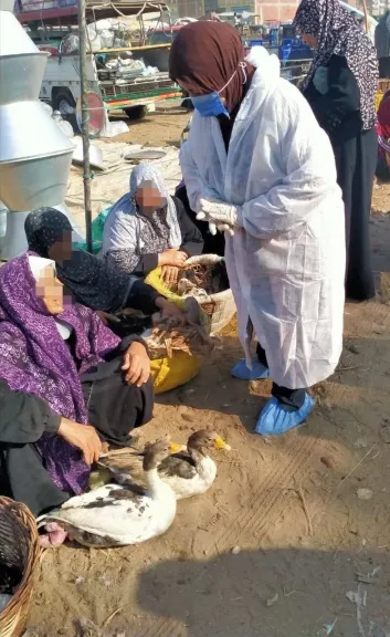جانب من الاعمال