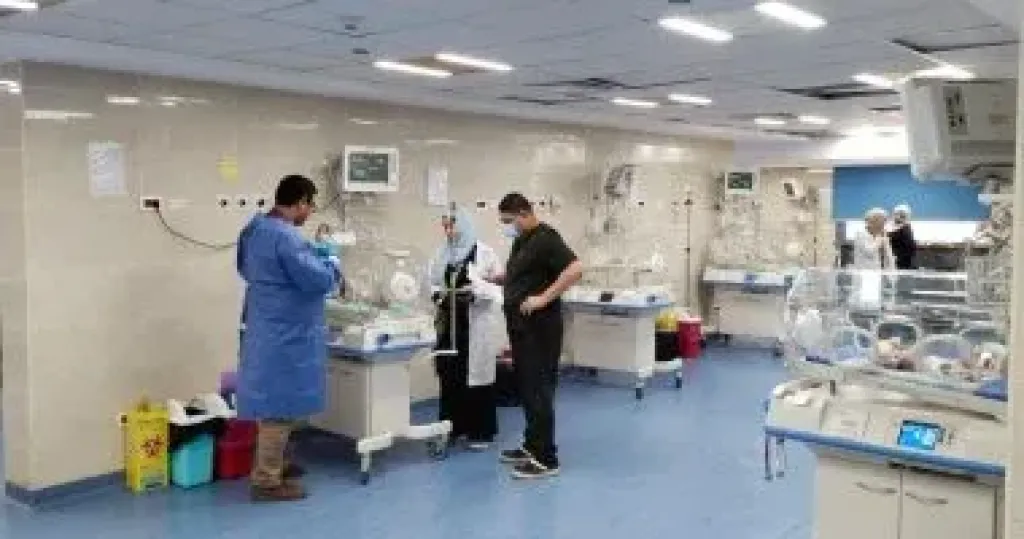الحضانات 