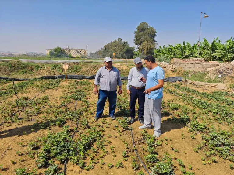 أنشطة الإرشاد الزراعي 