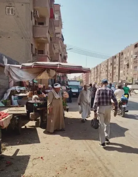 حملات إزالة 