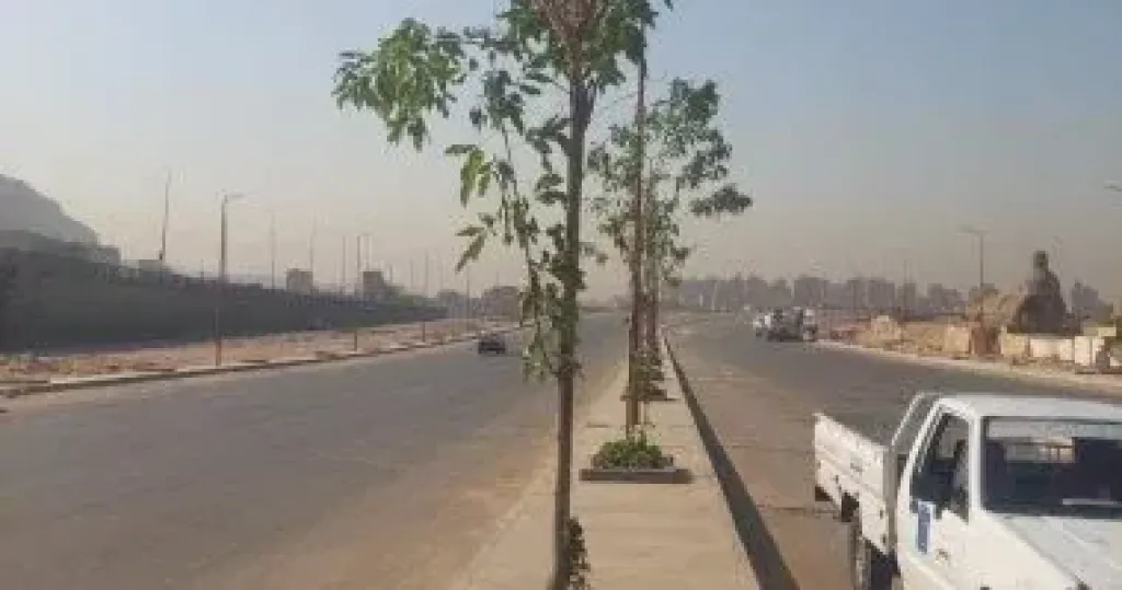 زراعه 100 مليون شجره  