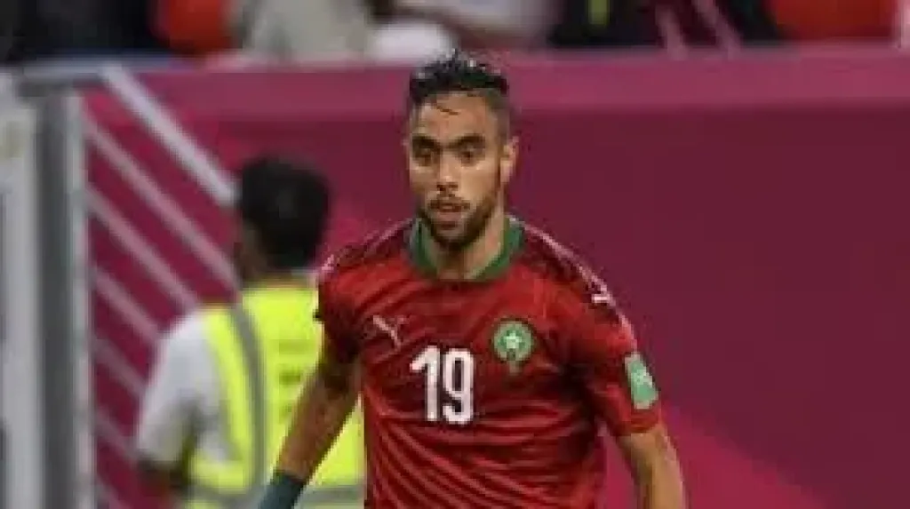 محمد الشيبي